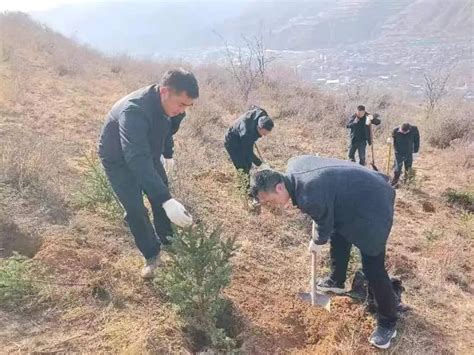 不负春光添新绿 植树造林正当时——宕昌县春季植树造林全面展开① Isenlincn