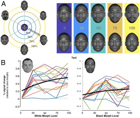 Neural Adaptation To Faces Reveals Racial Outgroup Homogeneity Effects