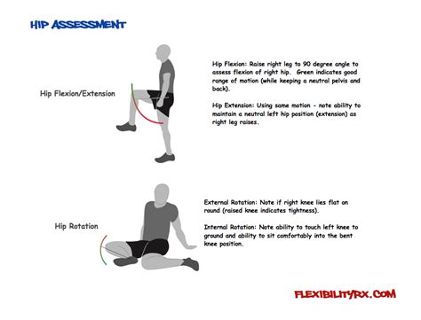 Fix Low Back Pain: Improve Hip Mobility | FlexibilityRx™ - Performance ...