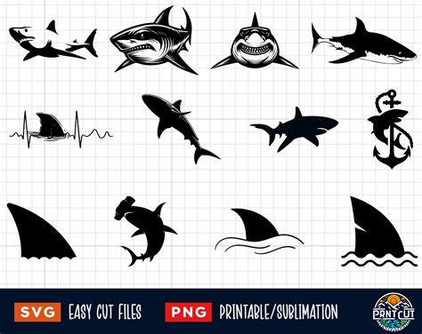 38 Shark Svg Bundle Shark Svg Shark Png Sharks Svg Png Shark Cut