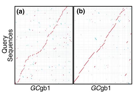 De Novo Genome Sequence Assembly Of A Filamentous Fungus Using Sanger