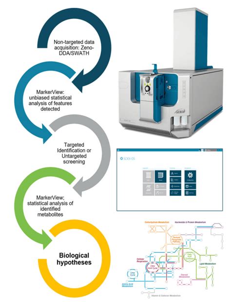 Analysis Of Untargeted Metabolomics Data From An Untargeted Zeno Data