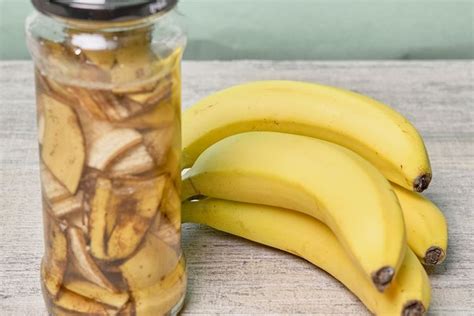 Cara Membuat Dan Mengaplikasikan Pupuk Organik Dari Kulit Pisang