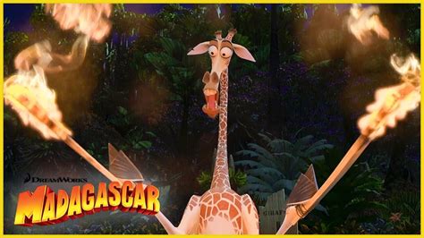 Melman se incendia a sí mismo DreamWorks Madagascar en Español