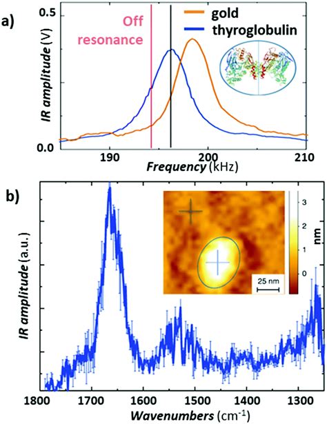 A Guide To Nanoscale IR Spectroscopy Resonance Enhanced Transduction