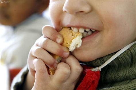 Grève dans les cantines de Pau les parents ont appris à sadapter La