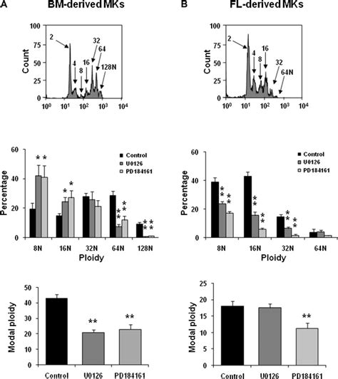 Effect Of Mek Inhibitors On Bone Marrow− Bm And Fetal Liver Download Scientific Diagram