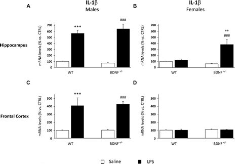 Frontiers Differential Neuroinflammatory Response In Male And Female