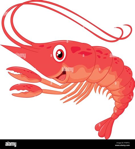 Cute Shrimp Cartoon Stock Vector Image And Art Alamy