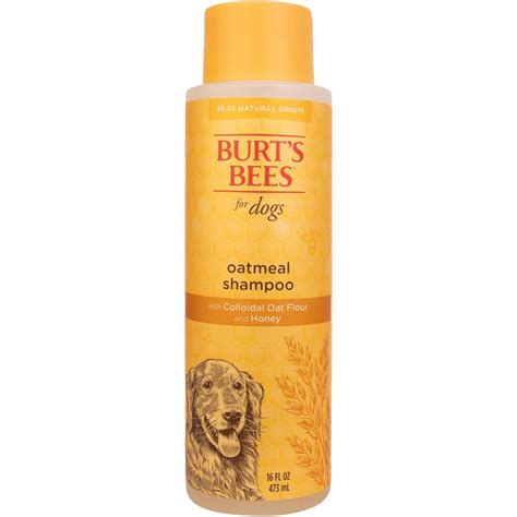 10 Best Dog Shampoos For Allergy Sufferers In 2025 Reviews And Top