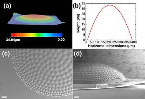 A 3D Profile Of The Central Micro Lens B The Cross Section Of A SEM