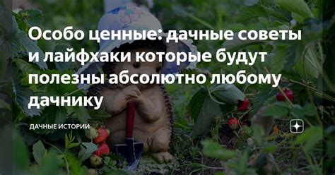 Особо ценные: дачные советы и лайфхаки которые будут полезны абсолютно ...