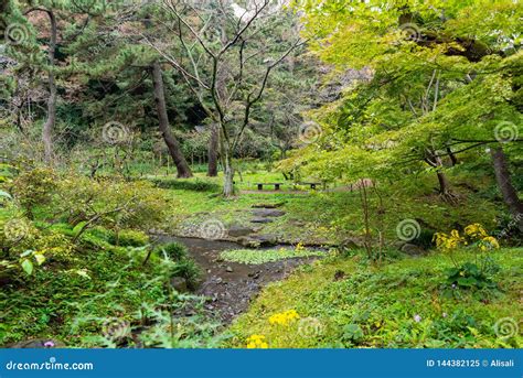 Beautiful View Of Sankeien Garden With Trees And Small River In