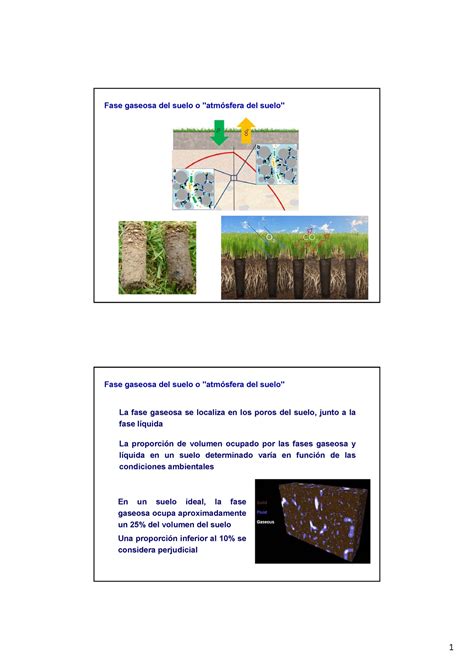 Tema 7 La atmósfera del suelo Fase gaseosa del suelo o atmósfera