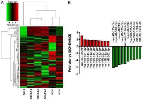 Differential Expression Of Spinal Cord Tissue MiRNAs Between Rats In