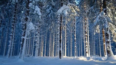 Conseils Randonnée et bivouac en hiver Trekking et Voyage