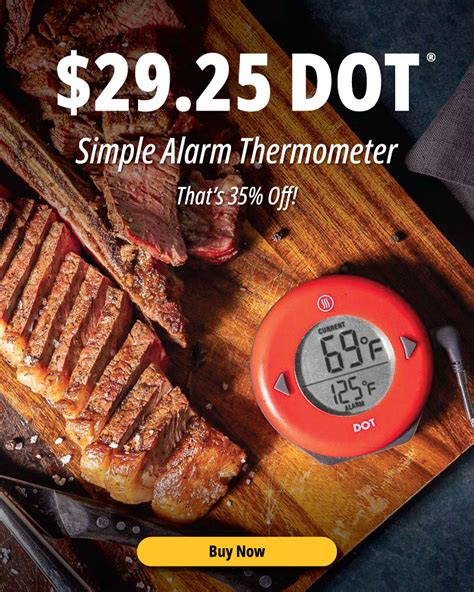 29 25 Dot Simple Alarm Thermometer Thermoworks