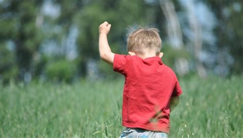 birth   practical financial lessons   child