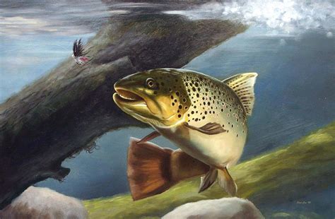 Brown Trout Painting by Stan Cox