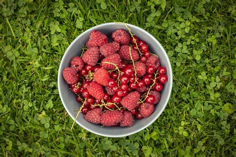 Wie viel ist eine Portion Obst oder Gemüse Und wie schaffst du 5 am