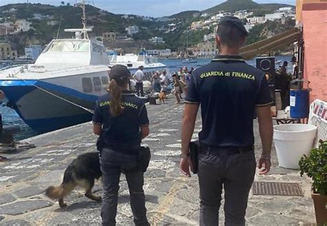 Ponza Controlli Antidroga Della Guardia Di Finanza A Turisti E Movida