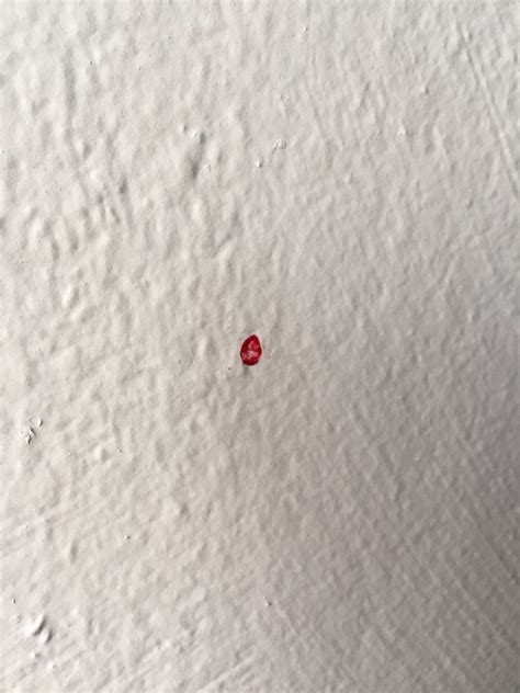 What Are These Red Dots On My Walls R Whatisthisthing