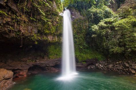 Bamboo Backpackers, Nadi, The Fiji Islands: National Park @ Taveuni Island