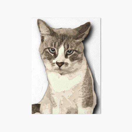 "Judgemental Cat Meme" Art Board Print for Sale by TB2018 | Redbubble