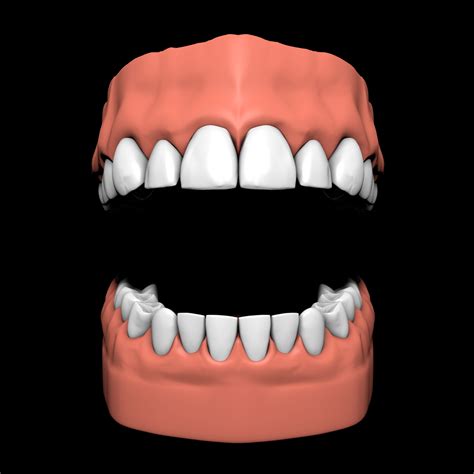 Jaw Teeth 3d Model 10 C4d Free3d