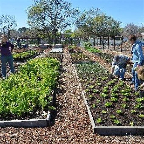 Vegetable Garden Row Spacing Plant Spacing In Square Foot Gardens