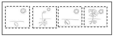 Secuencia Didactica Para Segundo Grado Sobre Las Plantas Infoupdate Org