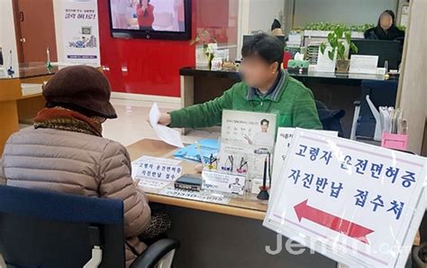 “야간·고속도로 운전 금지” 고령운전자 조건부 면허 도입 추진 고령운전자 교통사고 급증 도로교통법 개정 면허증 반납