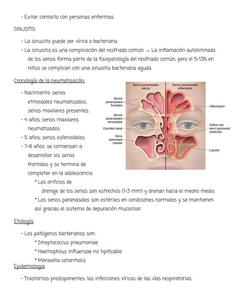 Solution Infecciones Respiratorias Altas Studypool