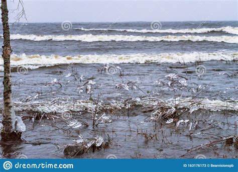 Ondas De Um Mar De Inverno Plantas Sobrevoadas Na Costa Imagem De