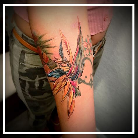 Bird of paradise tattoo | Paradise tattoo, Tattoos, Bird of paradise tattoo