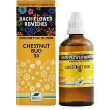 Buy New Life Bach Flower Chestnut Bud Ml Online At Low Prices In