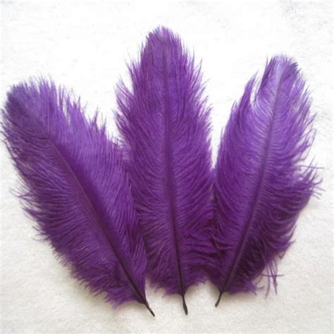 Wholesale 500 PCS Lot Purple Ostrich Feathers 15 20 Cm 6 8 Inches