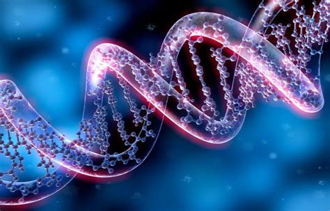 Human Genome Fully Decoded Techzle