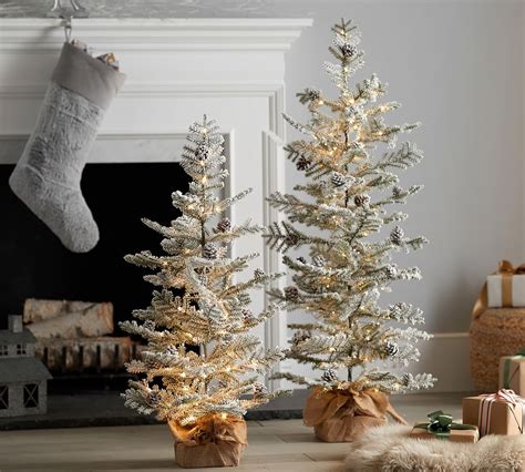 Lit Faux Snowy Pine Trees Pottery Barn