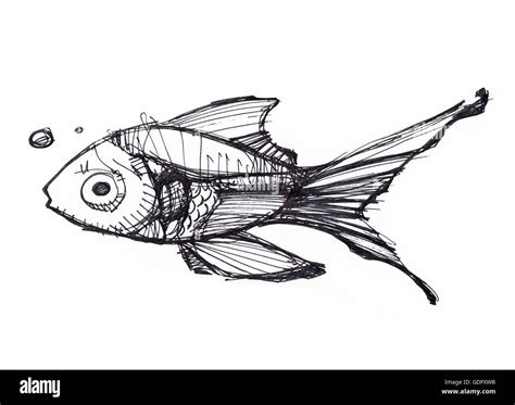 Hand drawn illustration or drawing of a swimming fish Stock Photo - Alamy