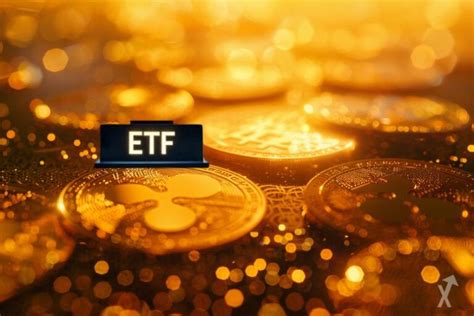 ETF XRP Solana Cardano Le PDG De Ripple Optimiste