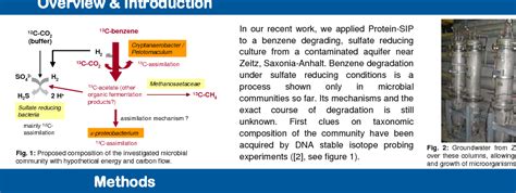 Figure From Protein Based Stable Isotope Probing Protein Sip For