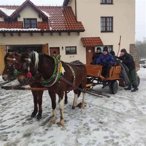 Strona G Wna Gminny O Rodek Kultury W Wieprzu