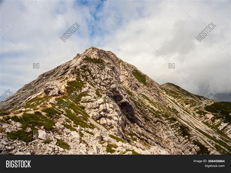 Top View Vogel Image & Photo (Free Trial) | Bigstock