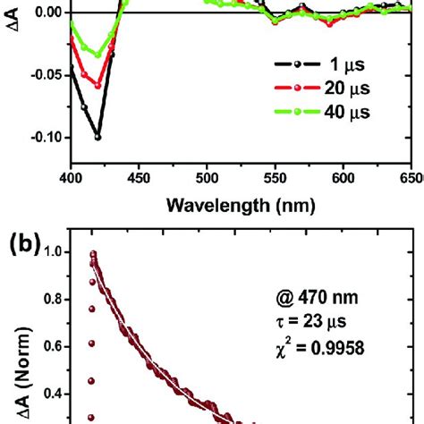 Transient Absorbance Decay Profiles Obtained Upon Nanosecond Pulsed