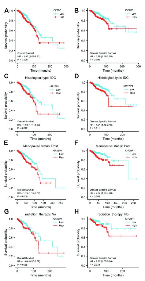 Relationship Between IGF2BP1 Expression And The Prognosis Of BRCA