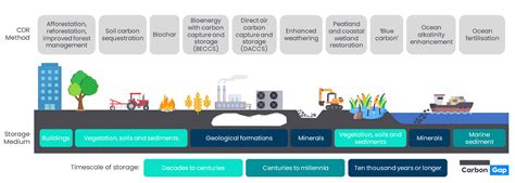 Carbon Removal Infographics