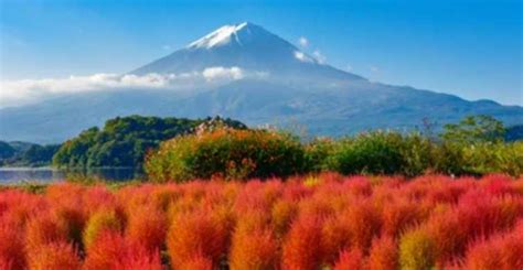 Da Tokyo Hakone Fuji Escursione Di Un Giorno A Hakone E Al Monte Fuji