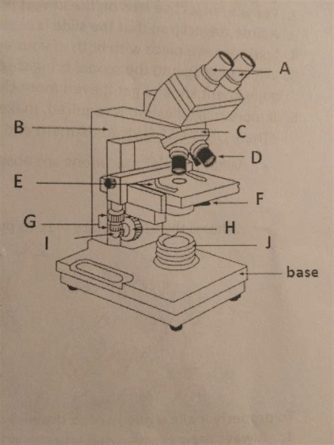 Bio Unit 1 Diagram Quizlet