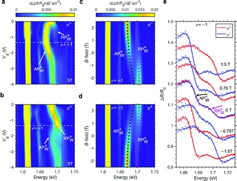 Exciton Polaron Behaviour At One Hole Per Site A B A And